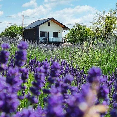 Vacation Home - Nest Kalnik Luaran gambar
