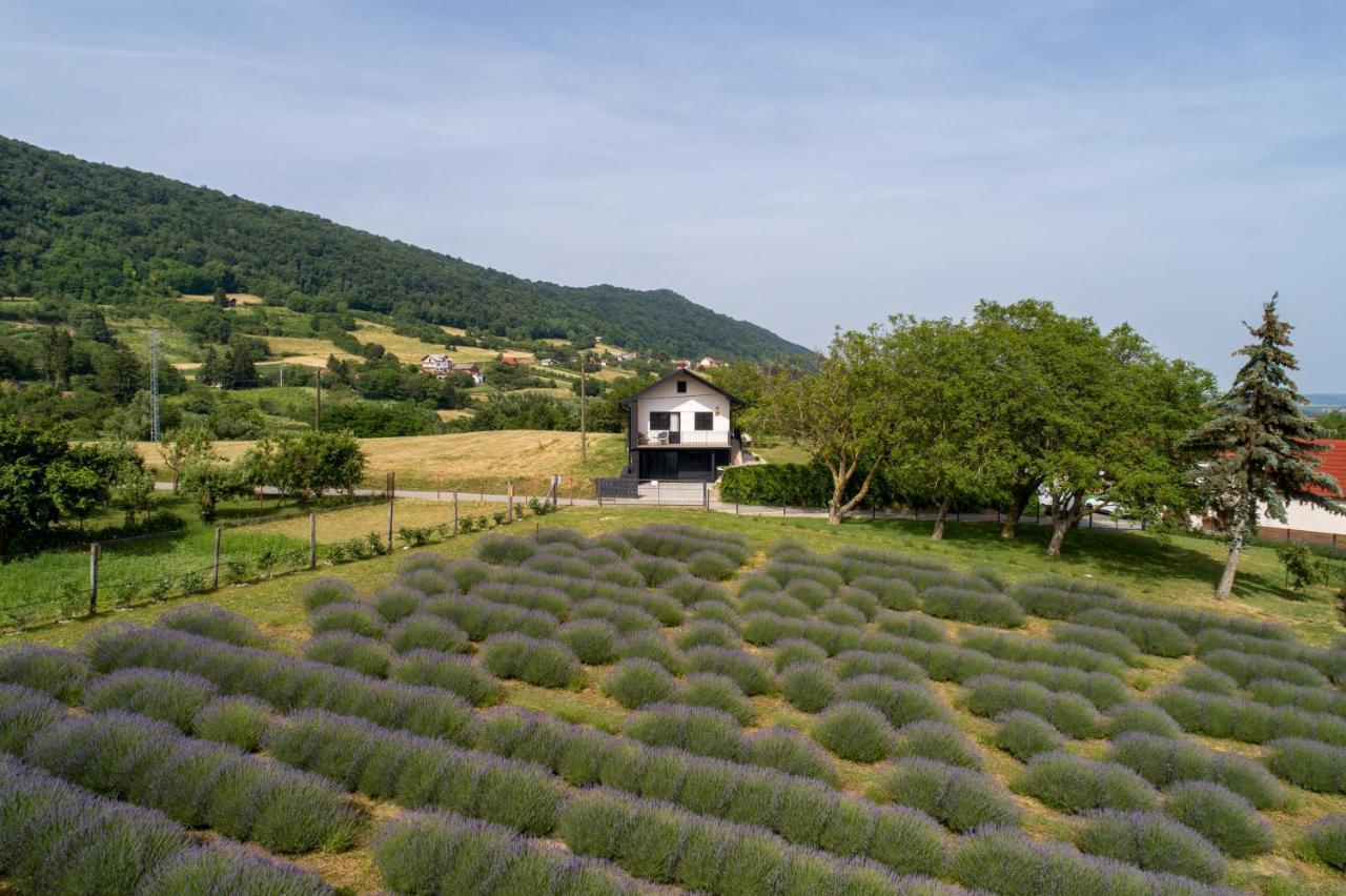 Vacation Home - Nest Kalnik Luaran gambar