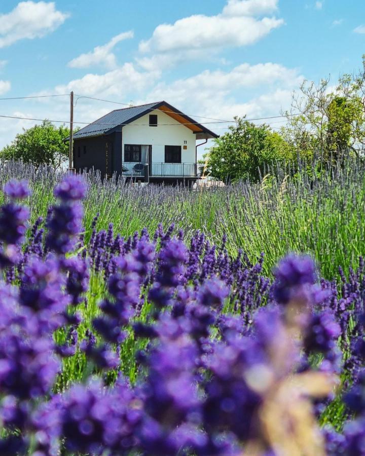 Vacation Home - Nest Kalnik Luaran gambar