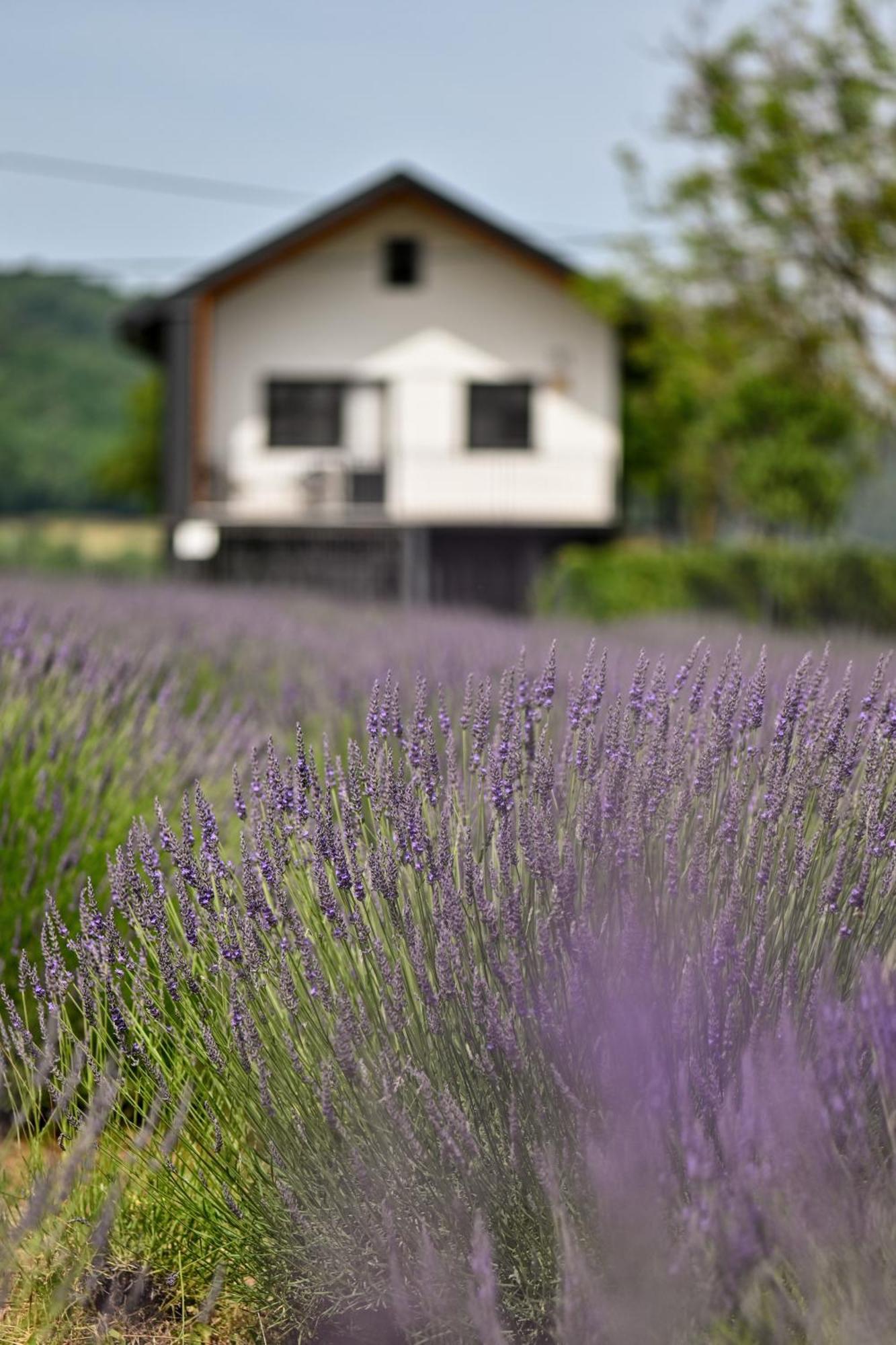 Vacation Home - Nest Kalnik Luaran gambar